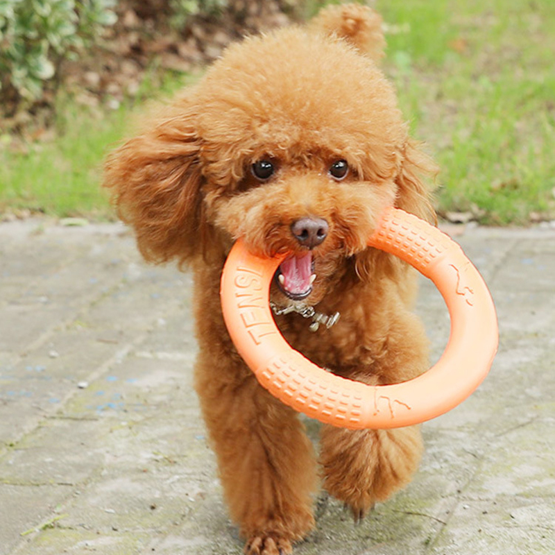 1pc Orange Dog Toys Pet Flying - Flying Disc Dog Training Toy ulasan dan harga