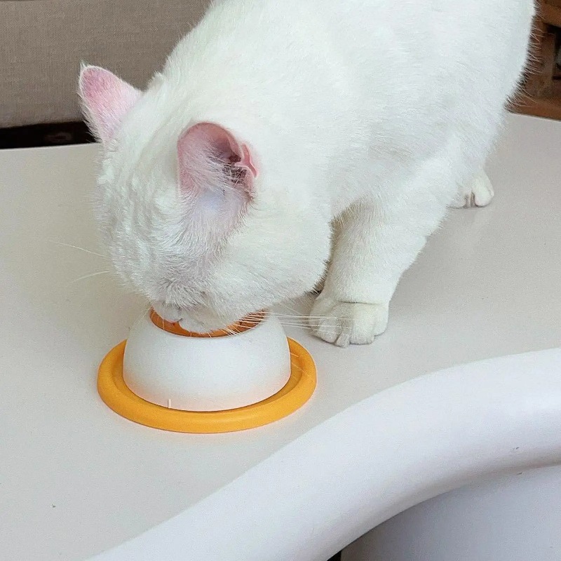 Pet Slow Food Bowl Dog Cat Lic - Dog Puzzle Feeder Toy ulasan dan harga