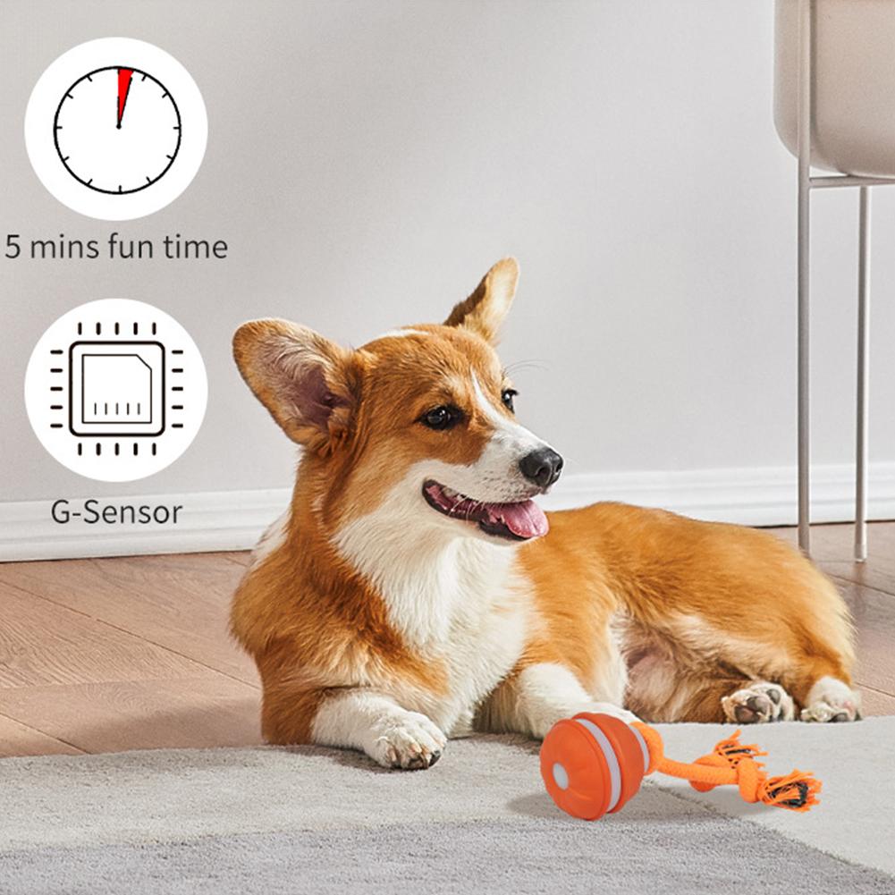Pet Ball for Dogs Interactive  - Automatic Moving Dog Ball ulasan dan harga