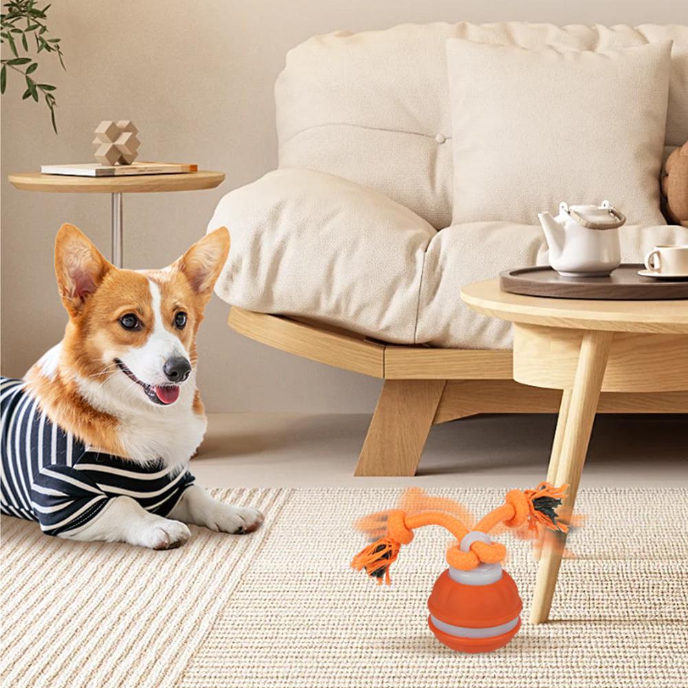 Pet Ball for Dogs Interactive  - Automatic Moving Dog Ball ulasan dan harga