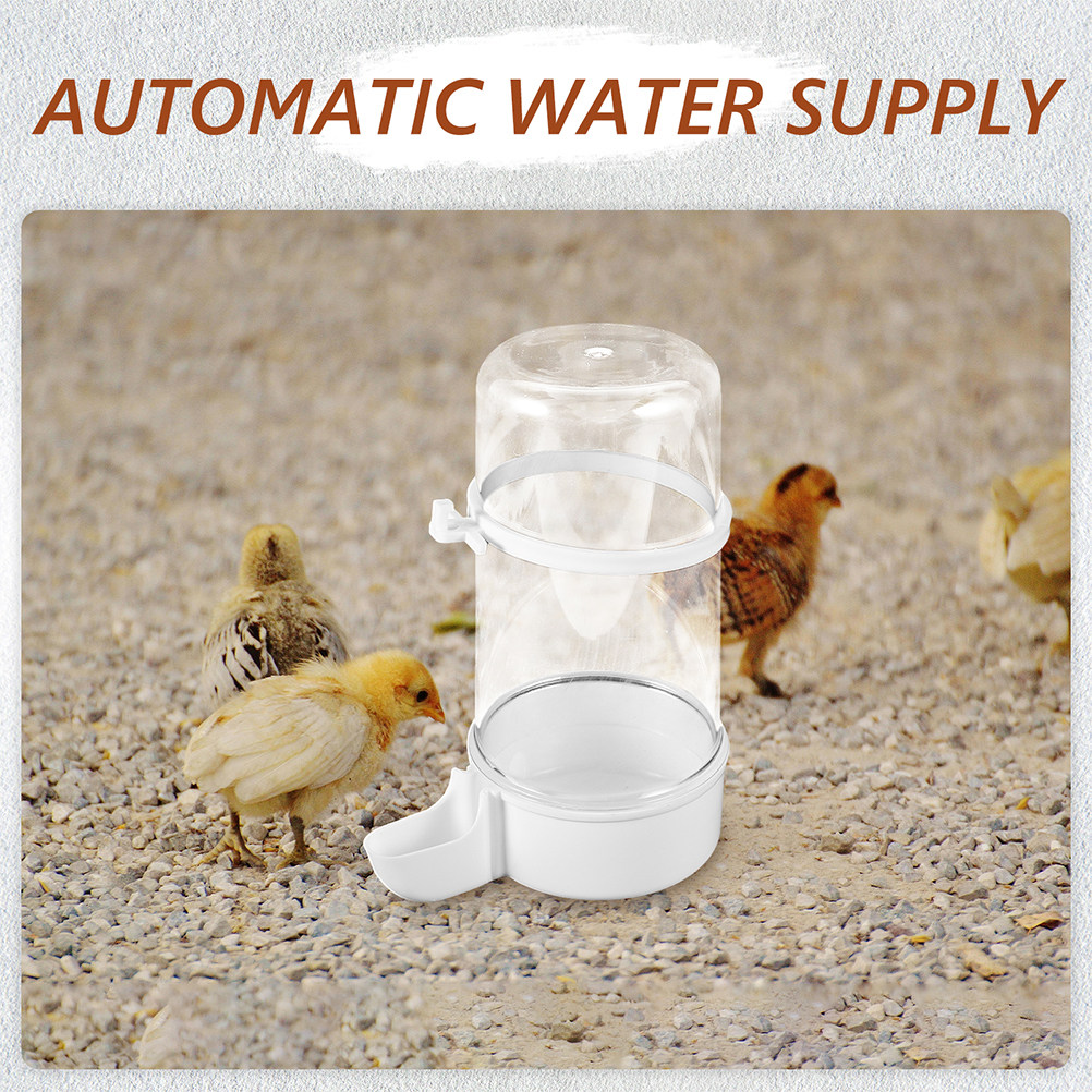 4Pcs Automatic Bird Feeder Pla - Pet Feeders ulasan dan harga