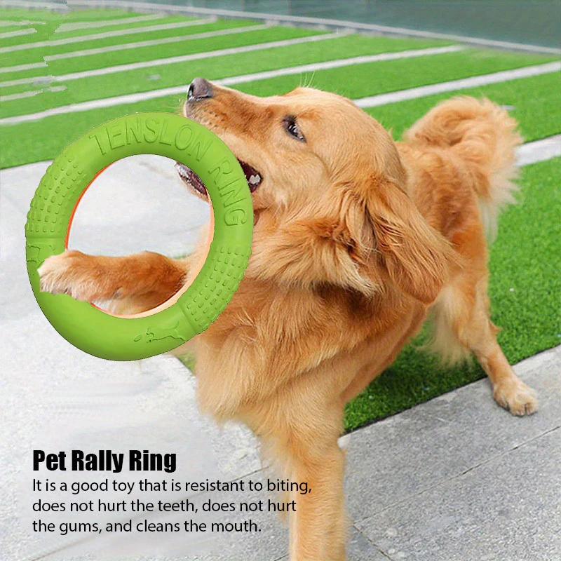 Dog Training Toys Outdoor Spor - Flying Disc Dog Training Toy ulasan dan harga