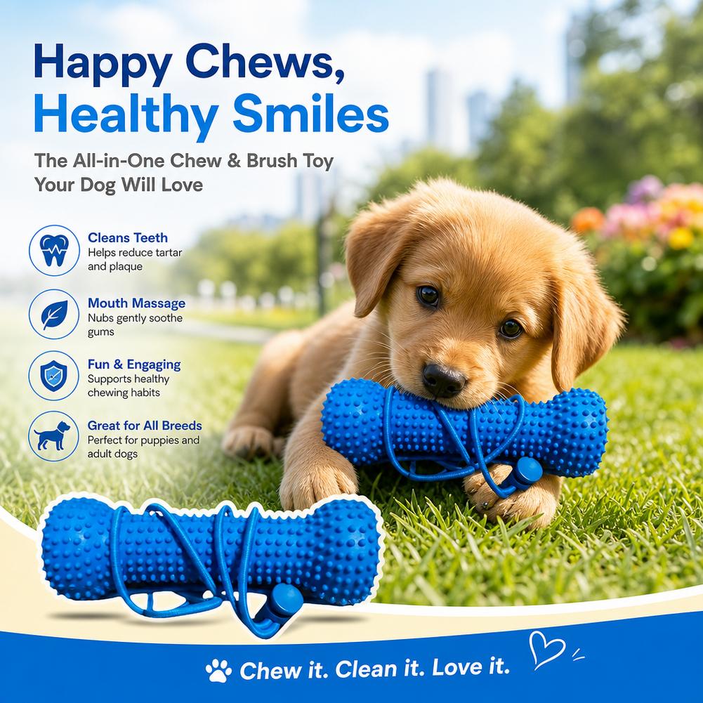 Dog Teeth Cleaning Chew Toy Bi - Teeth Cleaning Dog Chew Bone ulasan dan harga