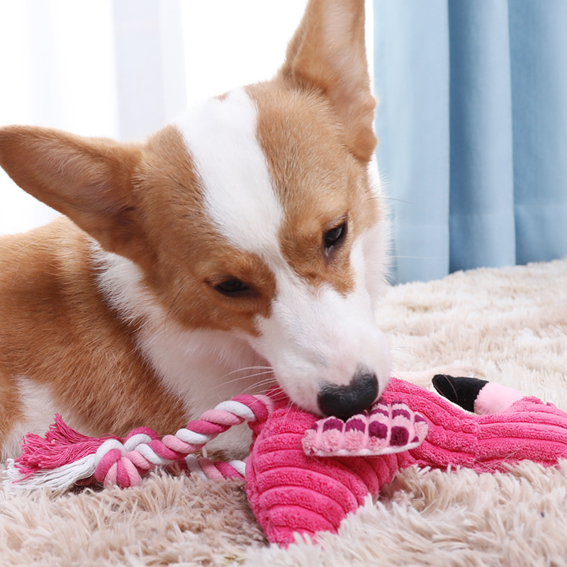 Animal Shape Squeaky Toys Plus - Indestructible Dog Chew Toy ulasan dan harga