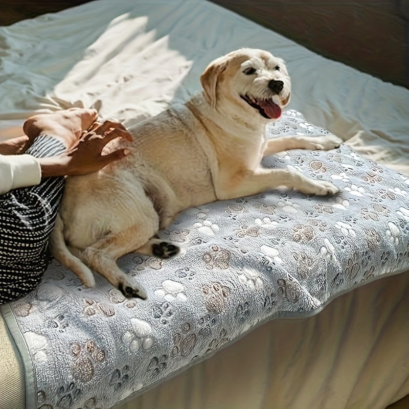 Comfortable Pet Towel Soft War - Pet Beds ulasan dan harga