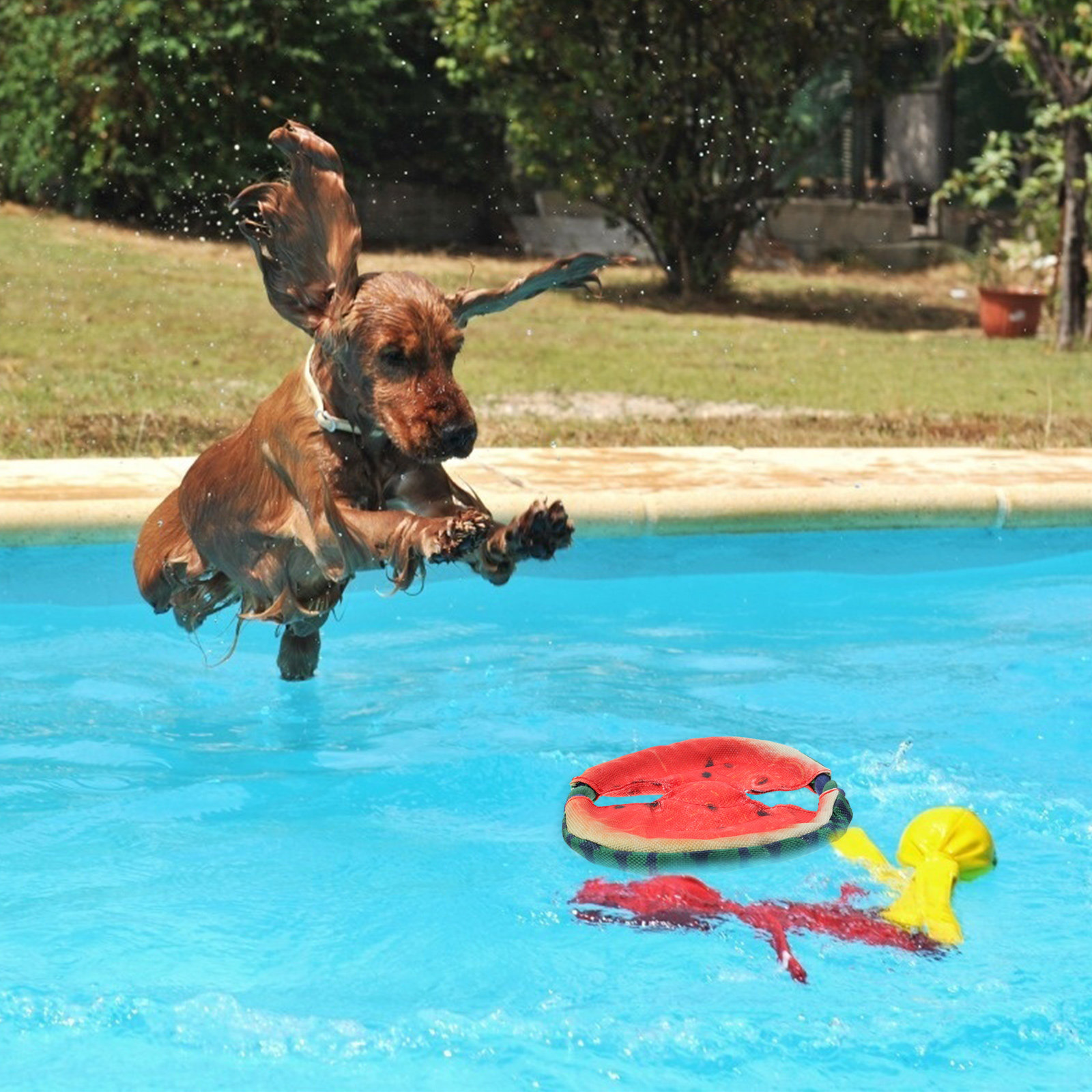 Dog Flying Disc Floating Water - Flying Disc Dog Training Toy ulasan dan harga