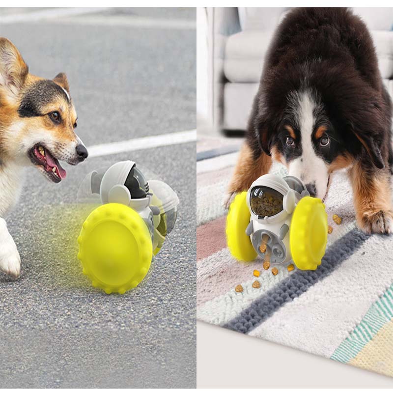 New Hot Pet Balance Car Slow F - Dog Puzzle Feeder Toy ulasan dan harga
