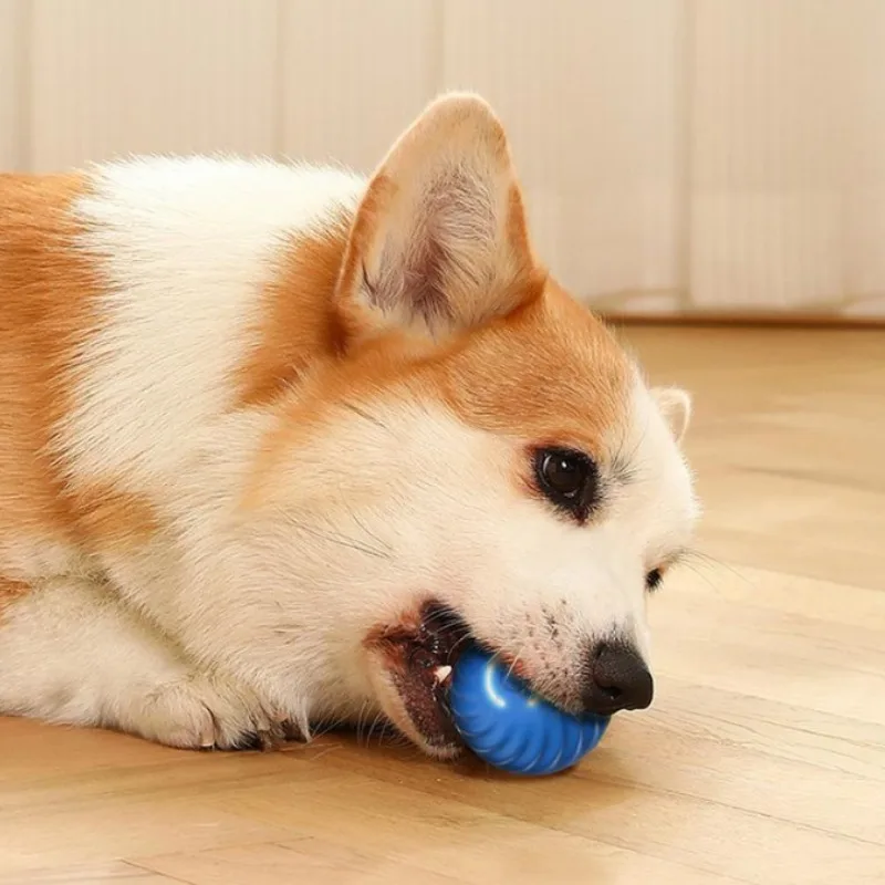 @1G-Pet Toy Ball Automatic Mov - Automatic Moving Dog Ball ulasan dan harga