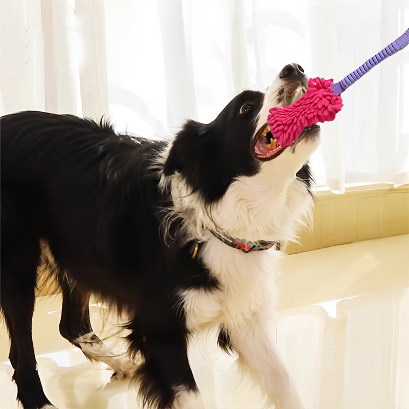 Durable Dog Toys for Aggressiv - Suction Cup Dog Tug Toy ulasan dan harga